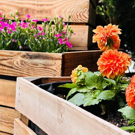 Naturparadies Salzburg-land شقة