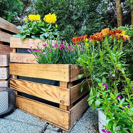 Naturparadies Salzburg-land سيكريتشن ام والرزي