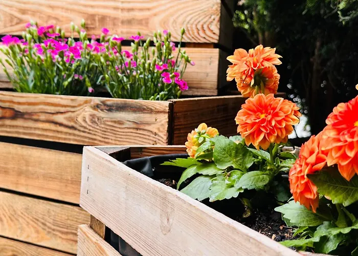 Naturparadies Salzburg-land 公寓