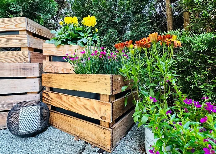 Naturparadies Salzburg-land 塞基兴